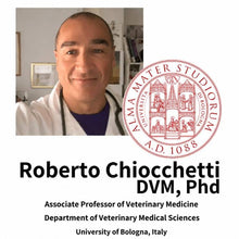 Professor Roberto Chiocchetti Bolognan yliopistosta
