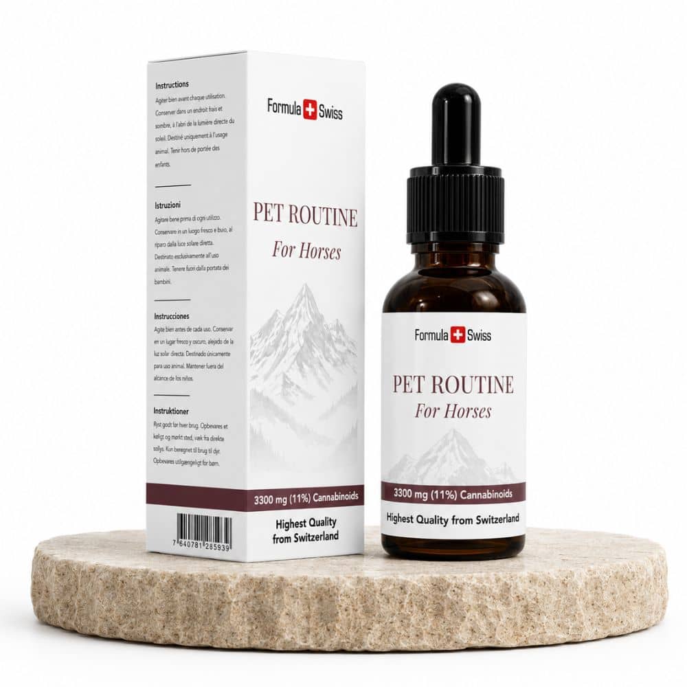 Formula Swissin "Pet Rutine for Horses" -pullo ja pakkaus valkoisella taustalla