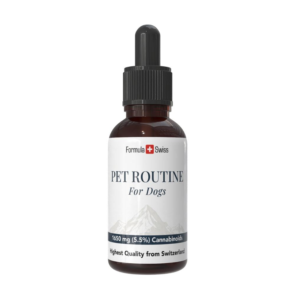 Pullon "Pet Routine for Dogs" -pullo, jossa on valkoinen etiketti valkoisella taustalla